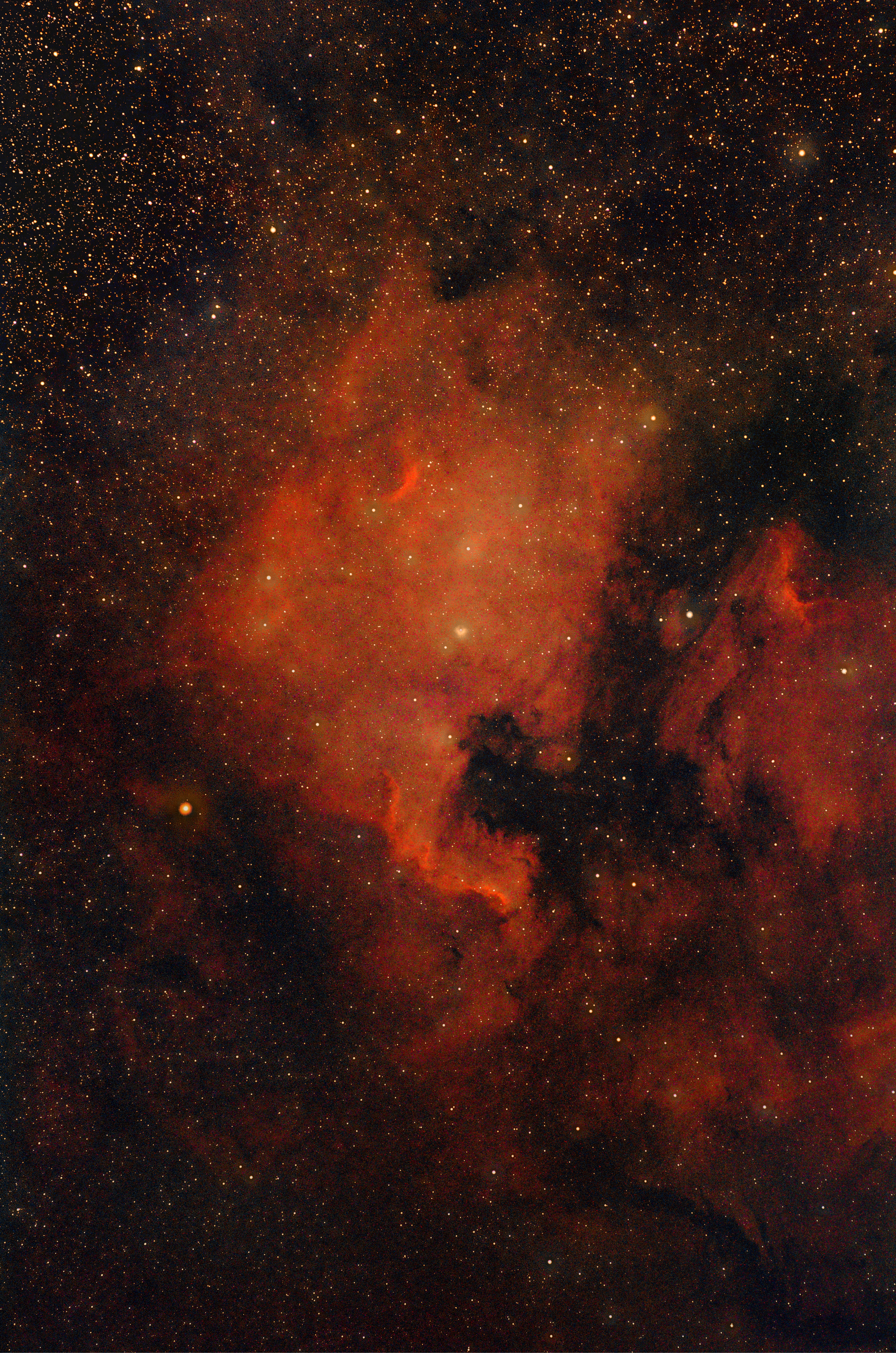 Reprocessed NGC7000, taken by Finlay, our Treasurer, and John, our President