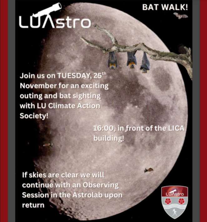 Week Eight Blog Entry