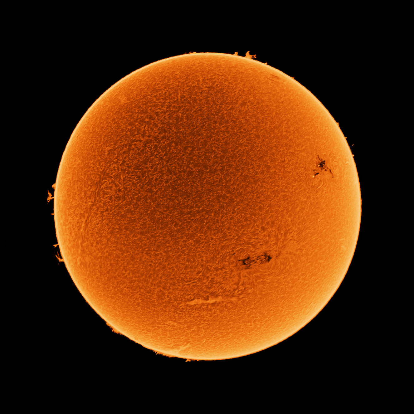 Full Sun, probably from the Coronado