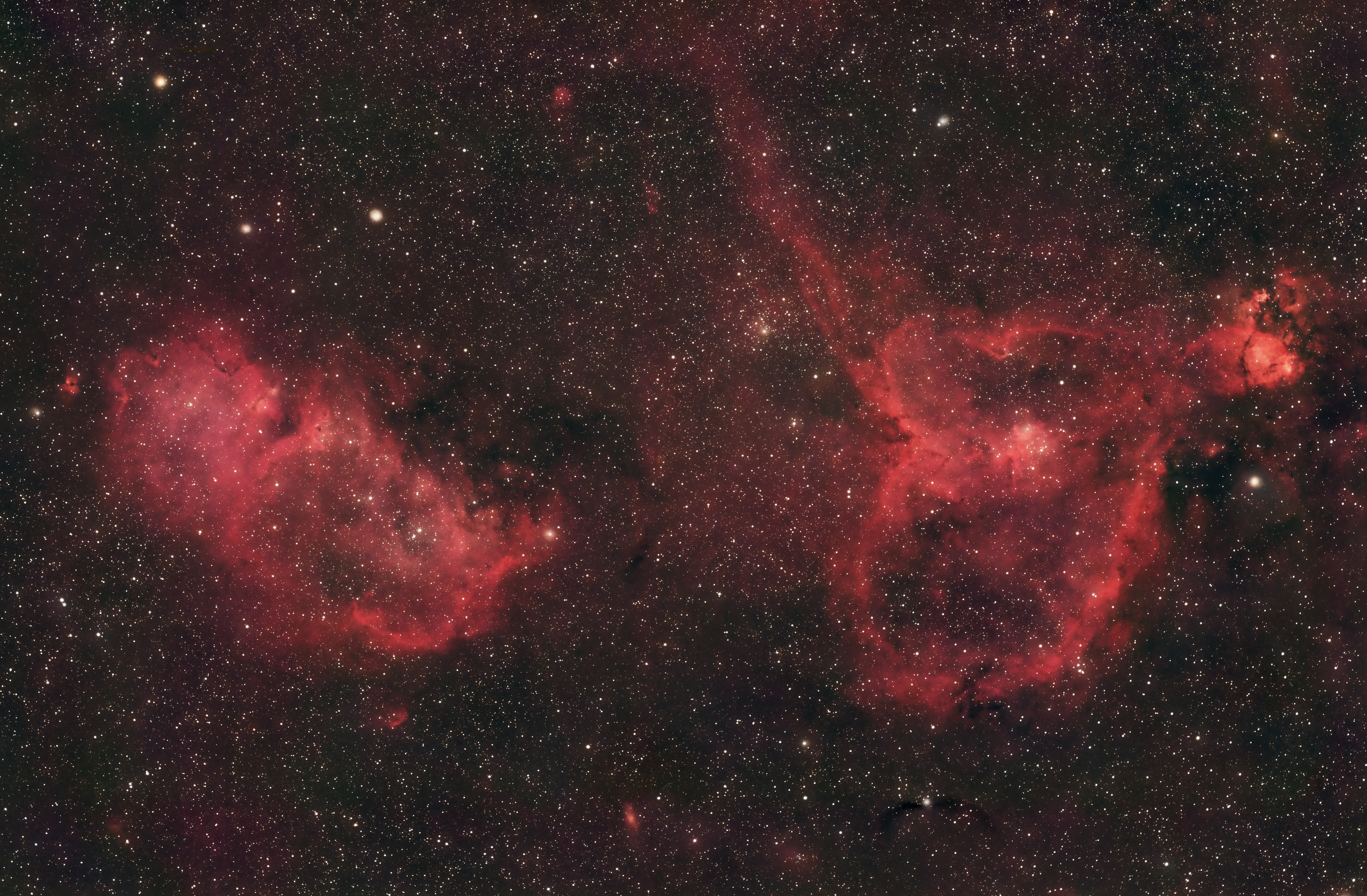 The Heart and Soul Nebula, taken by Lina Andonova and Finlay Daniel-McKeigue using the RedCat51 and 10 hours total exposure.