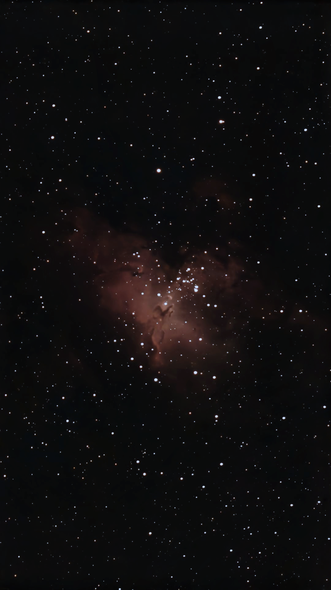 The Eagle Nebula (M16), taken by Finlay Daniel-McKeigue using a SeeStar S50 with a 90 minute exposure.